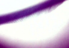 What are you hiding under that g-string in the woods?