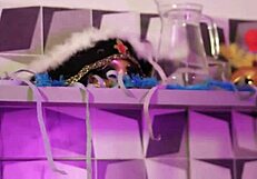 Couple relaxes after a lively party gathering