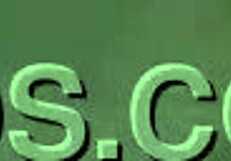 Korean Prostitute Sucking Cock In Oral Sex Scene