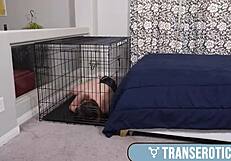 In this wild session, ts cherry mavrik gets rimmed hard. Then she fucks in doggystyle domination.