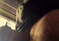 Lluvia De Penes - Bad Wolf28's Intense Shower