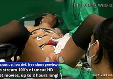 the new guinea pig alexis grace