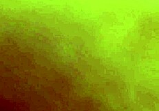 blowjob and exposing body with big cock and wet pussy