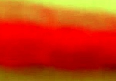 blowjob and exposing body with big cock and wet pussy