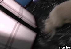 The sweetheart rides his later julie returns for a spin around the pole a job and more pounding.