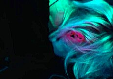 Tales of feet worship femdom