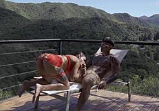 My Wife Surprises Me with Super Hot Red Lingerie!