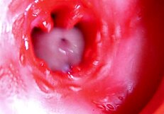 रसीली चूत में बड़ा लाल लंड कभी भी स्पर्म झाड़ सकता 😏