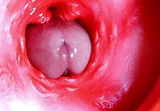 रसीली चूत में बड़ा लाल लंड कभी भी स्पर्म झाड़ सकता 😏