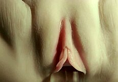 The Pussy's Pretty Come See It All