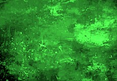 vintage lesbians licking and muff diving in two centuries of lesbian love