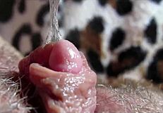 Detailed Closeup Of Big Clit Reaching Intense Orgasm