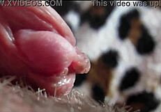 Detailed Closeup Of Big Clit Reaching Intense Orgasm
