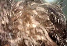 Olympic Athlete Althea Charles Delivers Passionate Athletic Fucking With Big Pussy Lips