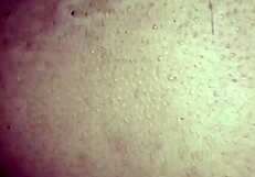 devar fucks desi housewife dipali