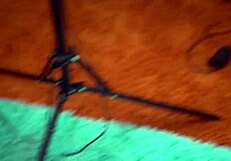 बबल गांड वाली फॉलन वेस्ट को रोम मेजर ने रेल दी और क्रीमपाई