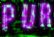 Couple Joins Stepsiblings for Intense Foursome