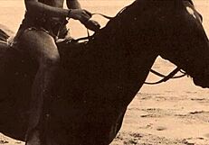 dark lantern entertainment presents from my secret life the erotic confessions of a victorian english gentleman