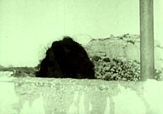 dark lantern entertainment presents from my secret life the erotic confessions of a victorian english gentleman