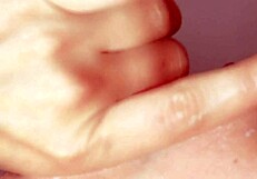 Japanese Story About Baseball Fan