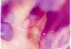 Amateur licks big black cock before homemade interracial fucking