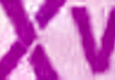 the affair chapter 2 bed hopping bi babe lia lin turns lesbo affair into steamy threesome gp3141