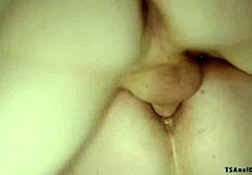 Shemale Dommes Exclaim, 'We're Anal Fucking Men Hard!'