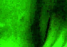 Phat Ebony Booty Bubble Butt Bbw Gets Monster Cock!