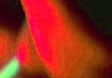 Hot Girls Enjoy Foot Fetish and Face Sitting Orgy