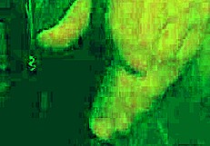 Joi Pet Play Domination Femdom Pov Eres Mi Mascota Astarioth