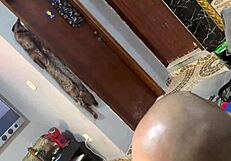 Padrasto Faz Trisal Com Enteada Morena E Amiga Loira