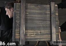 Sadomasochism Stories Of Femdom And Hardcore Fucking