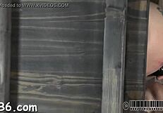 Sadomasochism Stories Of Femdom And Hardcore Fucking