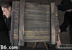 Sadomasochism Stories Of Femdom And Hardcore Fucking