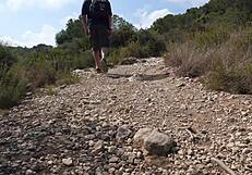 Aixmen La Cubana Gets Fucked Hard in the Car in the Woods!