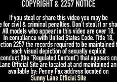 vicky vette chats about everyday life