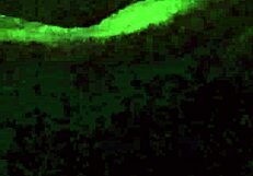 cuckold husband secretly watches sapiosexual wife intensely fucked by their new bull