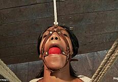 Hogtied Ebony's Pussy Lips Spread Wide