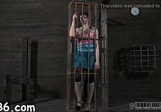 four beauties inside petite 18+ cage