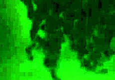 big booty ebony couple hardcore fucking