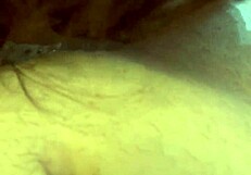 Slutty employee sucking boss's big cock!