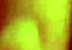 listen to sinn sage's hot whispers for jerk off instructions