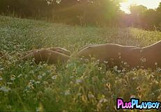 Hot Babe Posing In Grass?