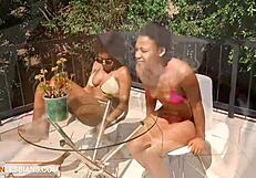 Can You Handle Real Amateur Black Lesbians Playing With Toys And Rubbing Wet Pussy?