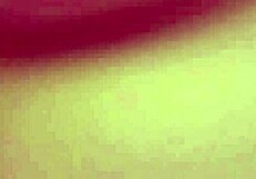 Brunette hottie megan fucks her dildo solo