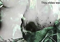 dark lantern entertainment presents beauty and the beast in vintage style