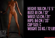 Hey, this american beauty iii sex doll is amazing