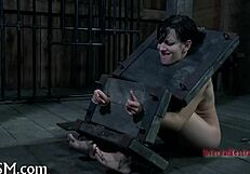 Bdsm Electro Castigation