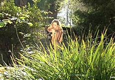 OMG, dahlia sky's voyeur masturbation is so hot! 😍