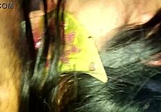 Gemidos Extraños Gime Como Chivo Y Sonrie